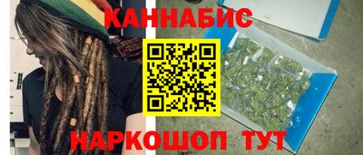 стаф Сланцы