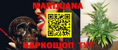стаф Сланцы